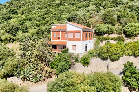 Lejlighed i Berchidda, Sassari, Berchidda - € 160.000 | Ref: CBI040-775-10641 - foto 4