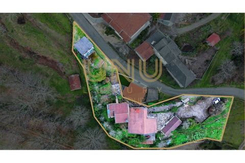 Villa em Cinfaes, Braga, Cinfaes - € 200.000 | Ref: IMO24667.8 - foto 9