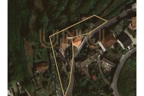 Villa em Cinfaes, Braga, Cinfaes - € 200.000 | Ref: IMO24667.8 - foto 10