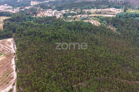 Helårsgrund i Melres e Medas, Porto, Melres e Medas - € 325.000 | Ref: ZMPT590741 - foto 4