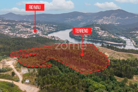 Helårsgrund i Melres e Medas, Porto, Melres e Medas - € 325.000 | Ref: ZMPT590741 - foto 6