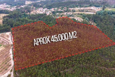 Helårsgrund i Melres e Medas, Porto, Melres e Medas - € 325.000 | Ref: ZMPT590741 - foto 7