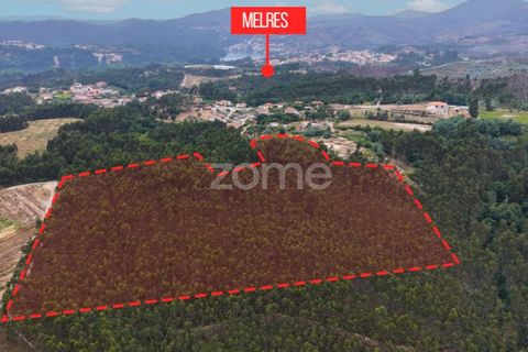 Helårsgrund i Melres e Medas, Porto, Melres e Medas - € 325.000 | Ref: ZMPT590741 - foto 8