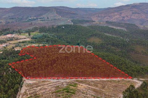 Helårsgrund i Melres e Medas, Porto, Melres e Medas - € 325.000 | Ref: ZMPT590741 - foto 9