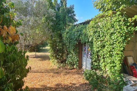Villa i Réalmont, Tarn, Réalmont - € 129.000 | Ref: 87183380 - foto 12