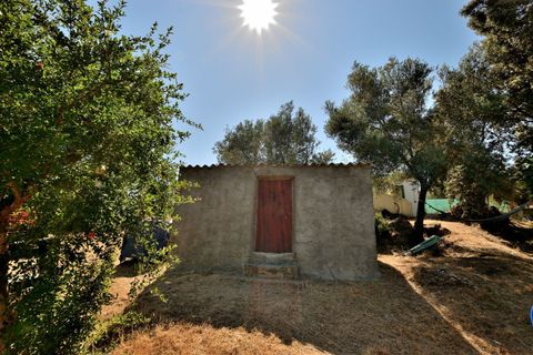 Landejendom i Ronda, Malaga, Ronda - € 155.500 | Ref: 2048 - foto 36