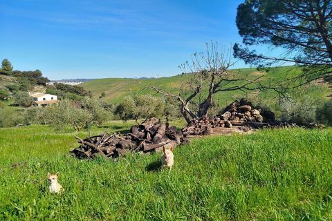 Landejendom i Ronda, Malaga, Ronda - € 155.500 | Ref: 2048 - foto 40