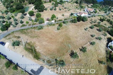 Terra em Abrantes, Santarem, Abrantes - € 145.000 | Ref: 613/26 - foto 3