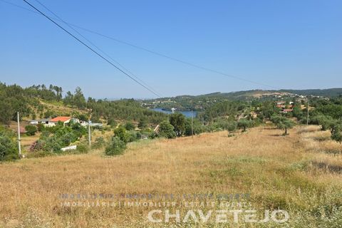 Terra em Abrantes, Santarem, Abrantes - € 145.000 | Ref: 613/26 - foto 4
