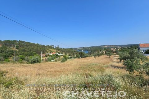 Terra em Abrantes, Santarem, Abrantes - € 145.000 | Ref: 613/26 - foto 5