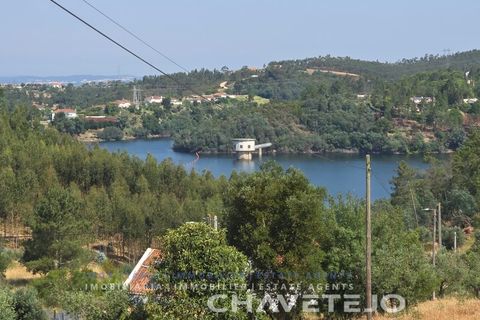 Terra em Abrantes, Santarem, Abrantes - € 145.000 | Ref: 613/26 - foto 6