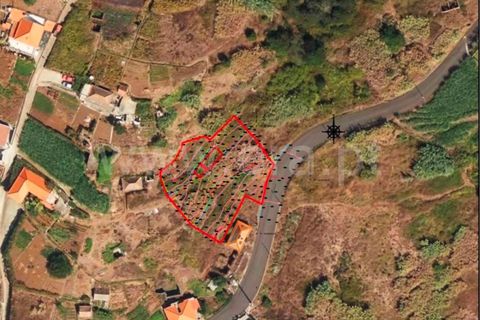 Helårsgrund i Ribeira Brava, Madeira, Ribeira Brava - € 185.000 | Ref: 081260130 - foto 16
