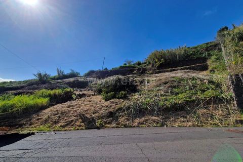 Helårsgrund i Ribeira Brava, Madeira, Ribeira Brava - € 185.000 | Ref: 081260130 - foto 17