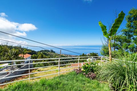 Haus in Ponta do Sol, Madeira, Ponta do Sol - € 795.000 | Ref: 081260131 - Foto 8