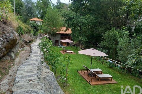 Farm i Fafe, Braga, Fafe - € 650.000 | Ref: 970894 - foto 34