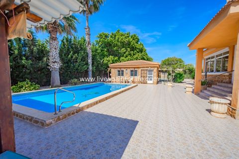 Landejendom i Rojales, Alicante, Rojales - € 650.000 | Ref: LF-14648 - foto 3