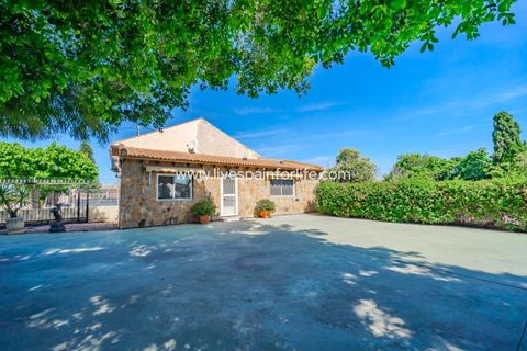 Landejendom i Rojales, Alicante, Rojales - € 650.000 | Ref: LF-14648 - foto 9
