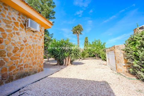 Landejendom i Rojales, Alicante, Rojales - € 650.000 | Ref: LF-14648 - foto 13