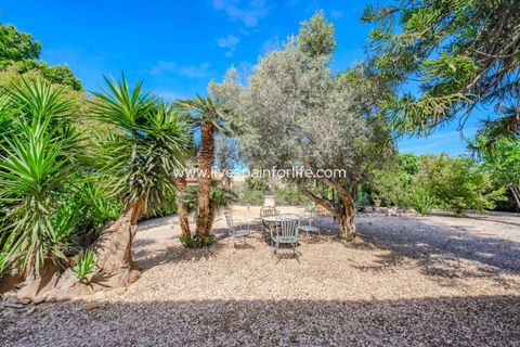 Landejendom i Rojales, Alicante, Rojales - € 650.000 | Ref: LF-14648 - foto 14