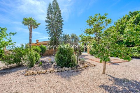 Landejendom i Rojales, Alicante, Rojales - € 650.000 | Ref: LF-14648 - foto 15