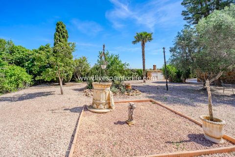 Landejendom i Rojales, Alicante, Rojales - € 650.000 | Ref: LF-14648 - foto 16
