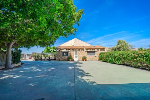 Landejendom i Rojales, Alicante, Rojales - € 650.000 | Ref: LF-14648 - foto 18