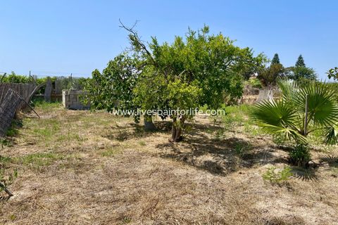 Villa i Daya Nueva, Alicante, Daya Nueva - € 395.000 | Ref: SL-68689 - foto 19