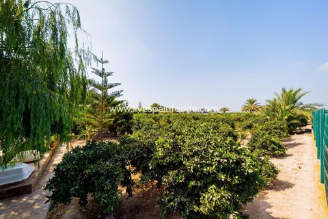 Landejendom i Almoradi, Alicante, Almoradi - € 1.300.000 | Ref: SL-17351 - foto 21