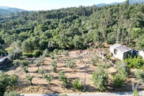 Byhus i Penela, Coimbra, Penela - € 27.500 | Ref: 970786 - foto 2
