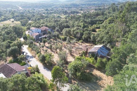 Byhus i Penela, Coimbra, Penela - € 27.500 | Ref: 970786 - foto 4