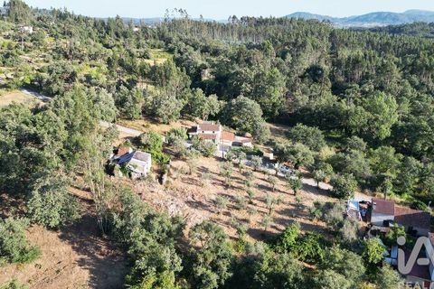Byhus i Penela, Coimbra, Penela - € 27.500 | Ref: 970786 - foto 5