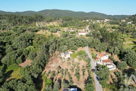 Byhus i Penela, Coimbra, Penela - € 27.500 | Ref: 970786 - foto 6