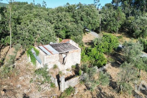 Byhus i Penela, Coimbra, Penela - € 27.500 | Ref: 970786 - foto 8