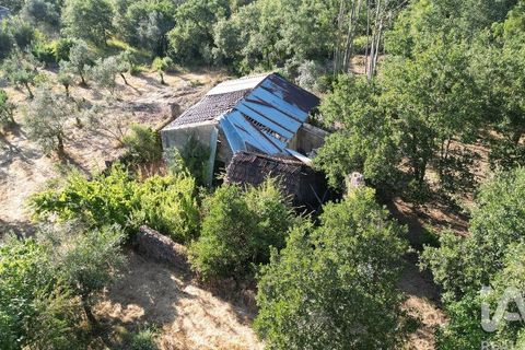 Byhus i Penela, Coimbra, Penela - € 27.500 | Ref: 970786 - foto 10