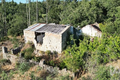 Byhus i Penela, Coimbra, Penela - € 27.500 | Ref: 970786 - foto 11