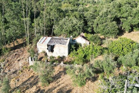 Byhus i Penela, Coimbra, Penela - € 27.500 | Ref: 970786 - foto 12