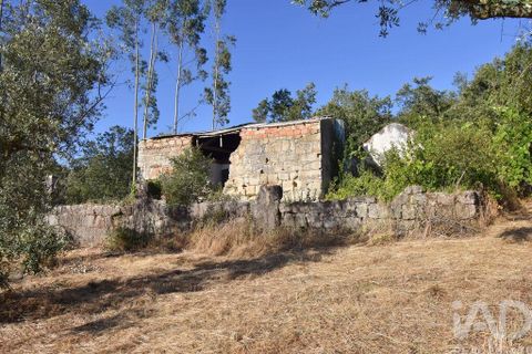 Byhus i Penela, Coimbra, Penela - € 27.500 | Ref: 970786 - foto 14