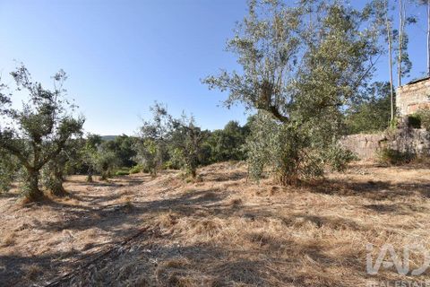 Byhus i Penela, Coimbra, Penela - € 27.500 | Ref: 970786 - foto 15