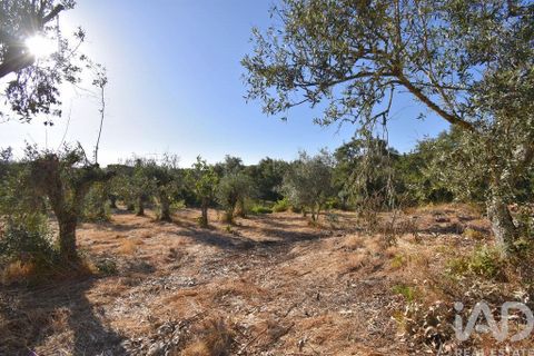 Byhus i Penela, Coimbra, Penela - € 27.500 | Ref: 970786 - foto 16