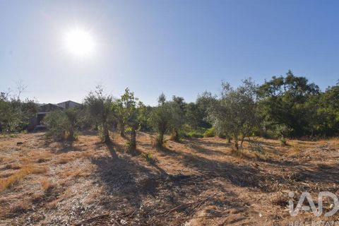 Byhus i Penela, Coimbra, Penela - € 27.500 | Ref: 970786 - foto 17