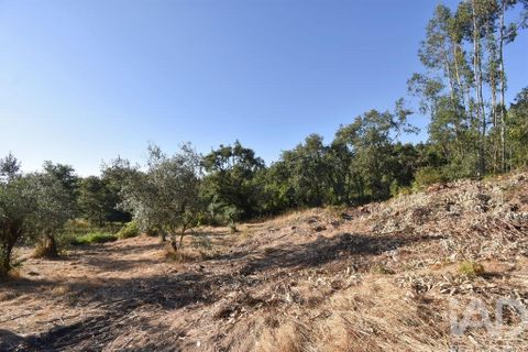 Byhus i Penela, Coimbra, Penela - € 27.500 | Ref: 970786 - foto 18