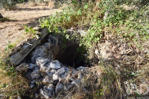 Byhus i Penela, Coimbra, Penela - € 27.500 | Ref: 970786 - foto 20