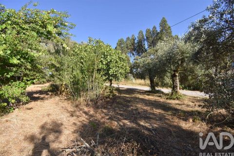 Byhus i Penela, Coimbra, Penela - € 27.500 | Ref: 970786 - foto 21