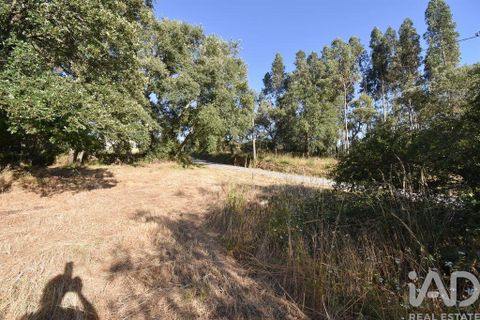 Byhus i Penela, Coimbra, Penela - € 27.500 | Ref: 970786 - foto 22