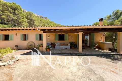 Villa i Andratx, Mallorca, Andratx - € 5.490.000 | Ref: 5181 - foto 22
