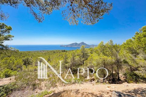 Villa i Andratx, Mallorca, Andratx - € 5.490.000 | Ref: 5181 - foto 23