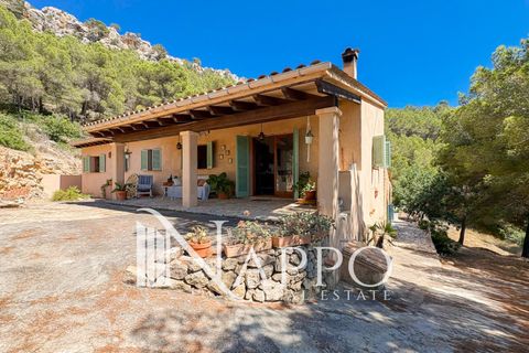 Villa i Andratx, Mallorca, Andratx - € 5.490.000 | Ref: 5181 - foto 24
