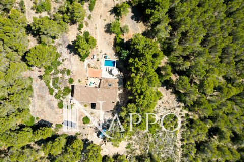 Villa i Andratx, Mallorca, Andratx - € 5.490.000 | Ref: 5181 - foto 40