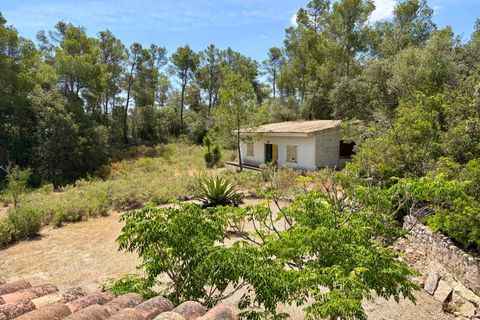 Landejendom i Sant Joan, Mallorca, Sant Joan - € 690.000 | Ref: 5675097 - LF1063 - foto 17