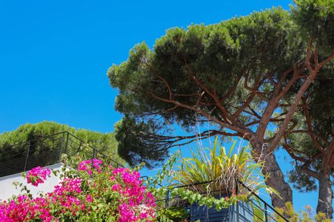 Villa i Hyeres, Var, Hyeres - € 1 490 000 | Ref: HH-16228300 - foto 24